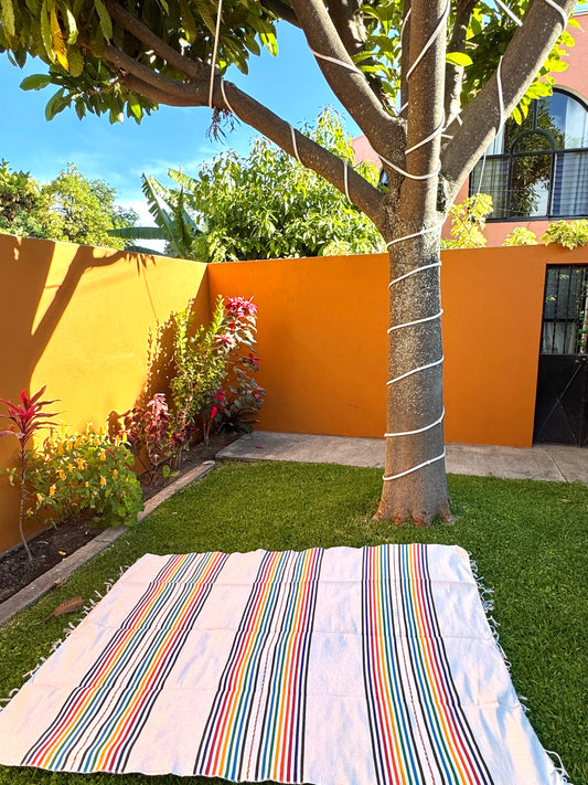 Handwoven Mexican Throw Blanket | Rainbow