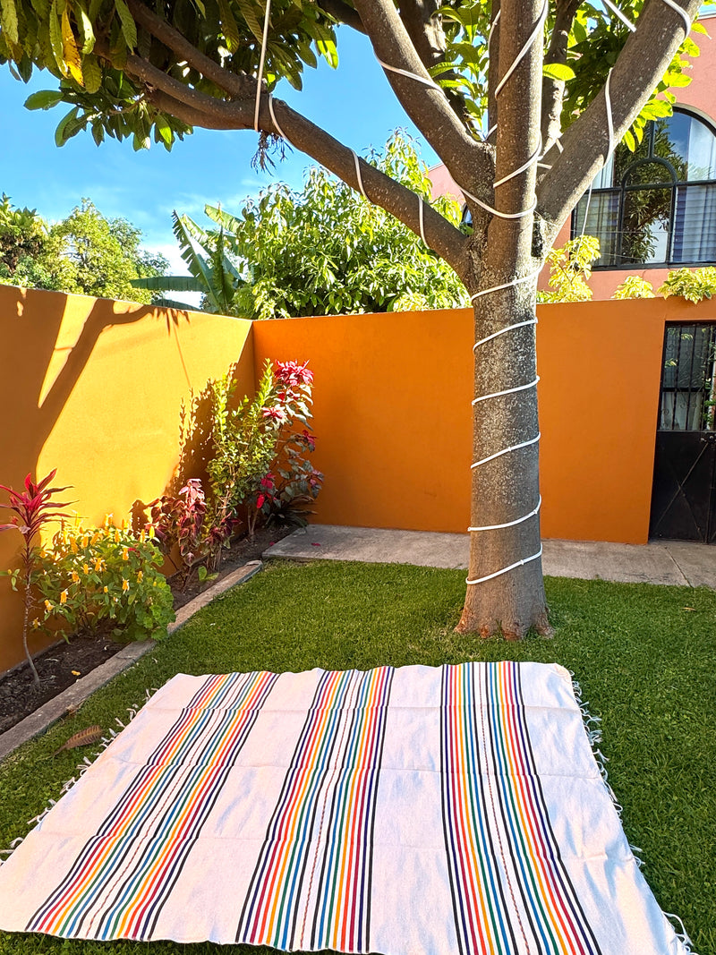 Handwoven Mexican Cotton Throw | Rainbow